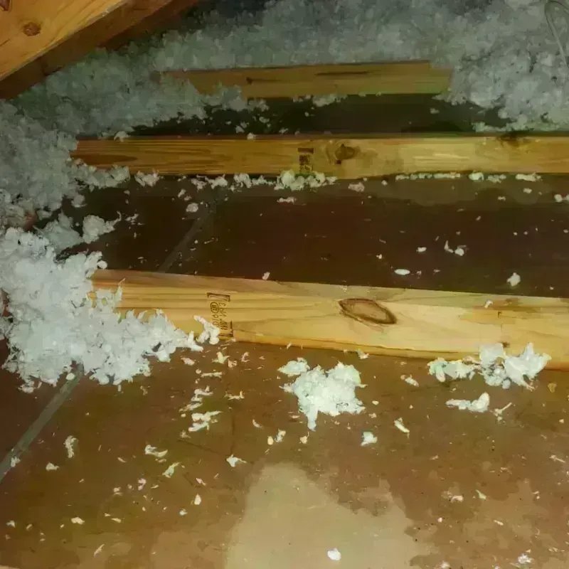 Attic Water Damage in Landen, OH