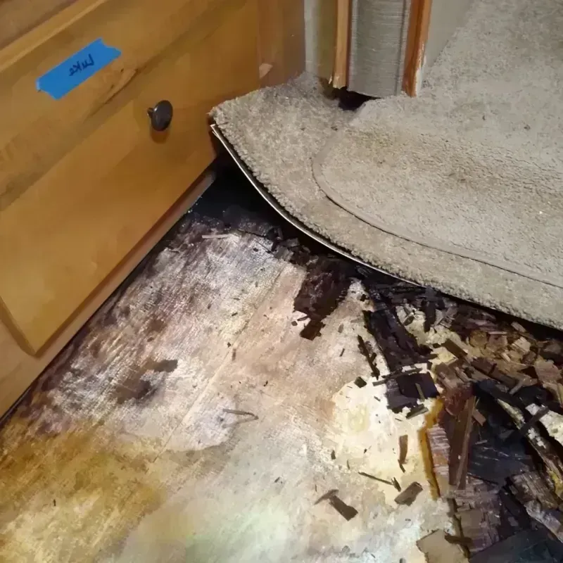 Best Wood Floor Water Damage Service in Landen, OH